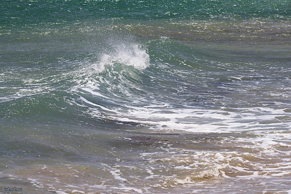 Самый большой секрет сапов